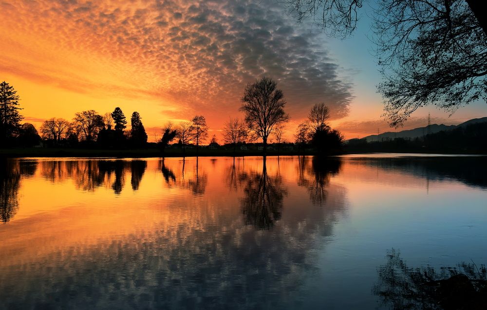 Photograph by Elena Wymann