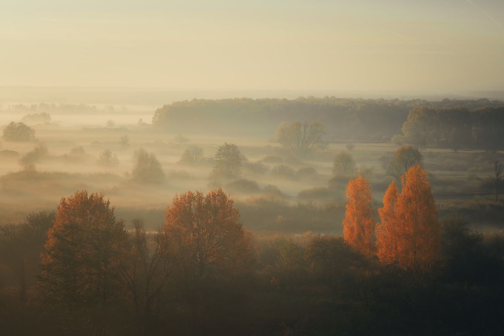 Photograph by Барабанов Алексей