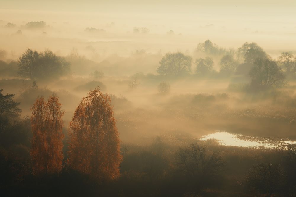 Photograph by Барабанов Алексей