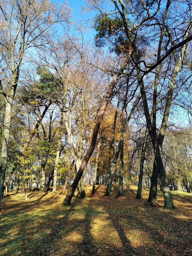 Photograph by Наталия Питолина