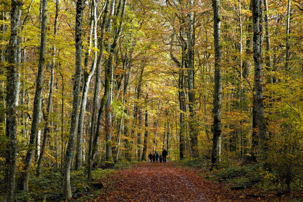 Photograph by Rolandas Valančauskas