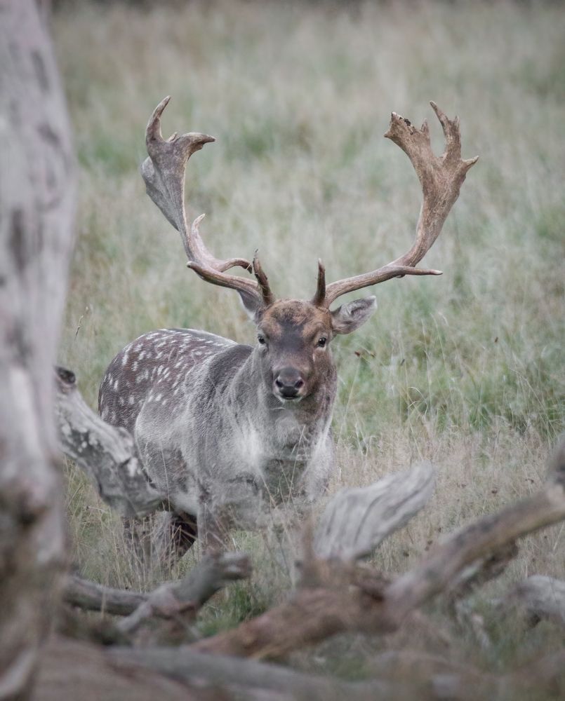 Photograph by NEZA CANKAR