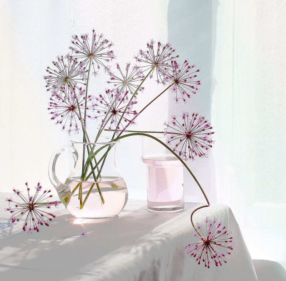 Photograph by Наталья Казанцева