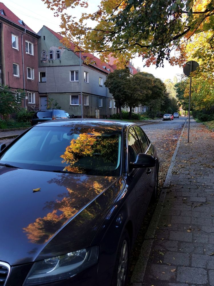 Photograph by Наталия Питолина