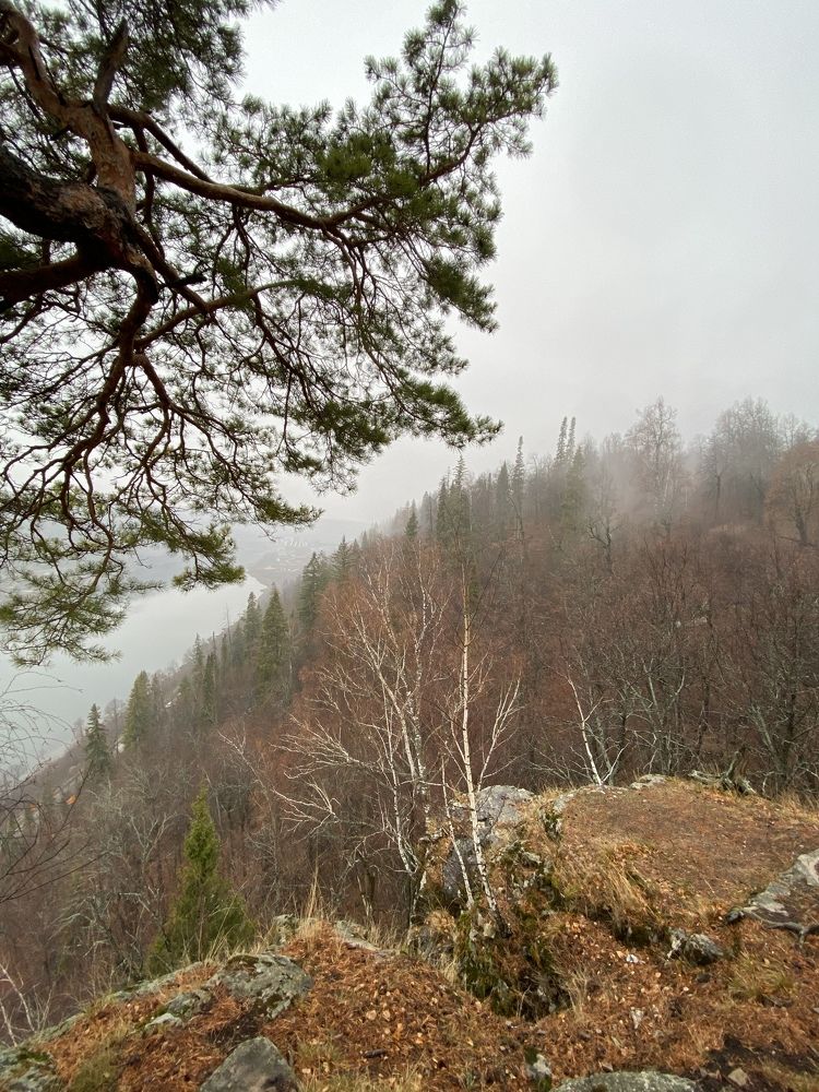 Photograph by Валентина