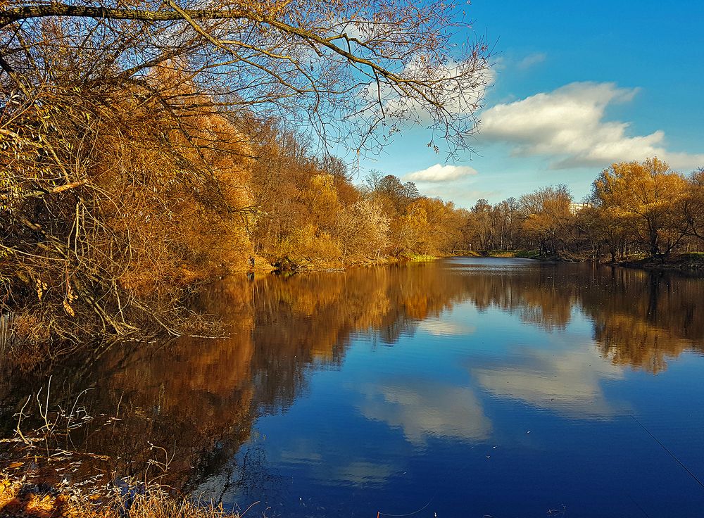 Лесенка в небо