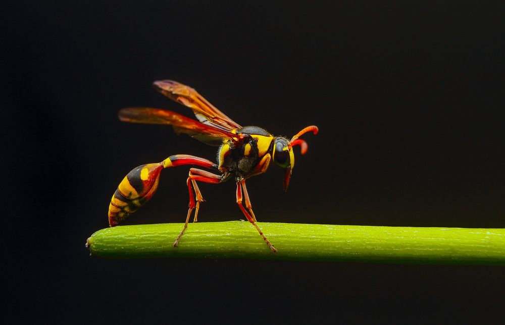 Photograph by Yusuf Buchari