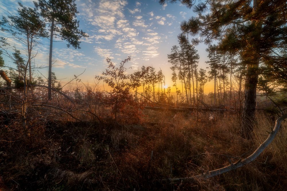 Осенний лес.