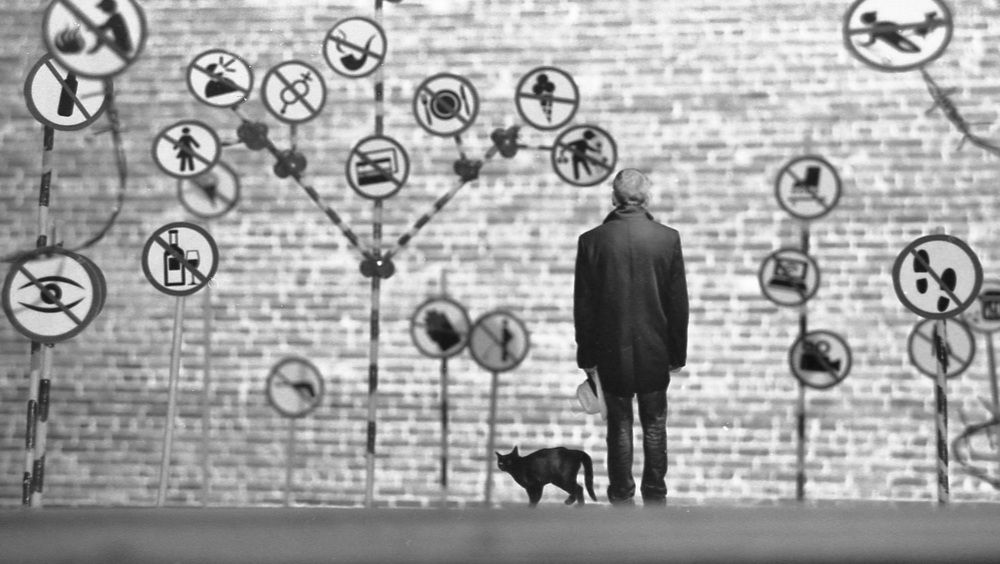 Кот и его Человек