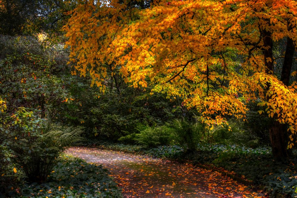 Photograph by Михаил Домешек