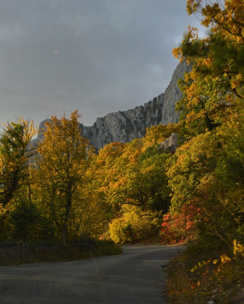 Photograph by Илона Краус