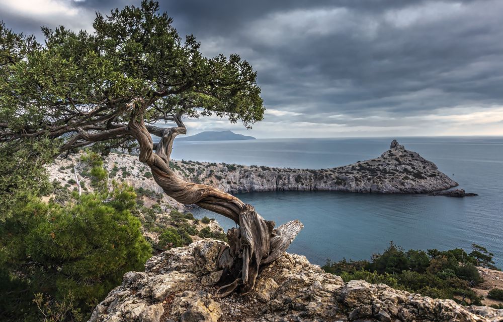 Между адом и раем