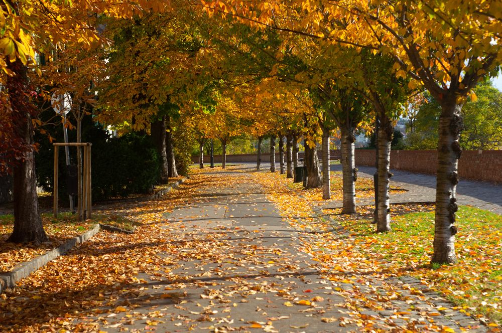 Photograph by Максим Захаров