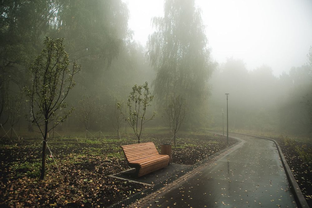 Photograph by Скрипкина Марина