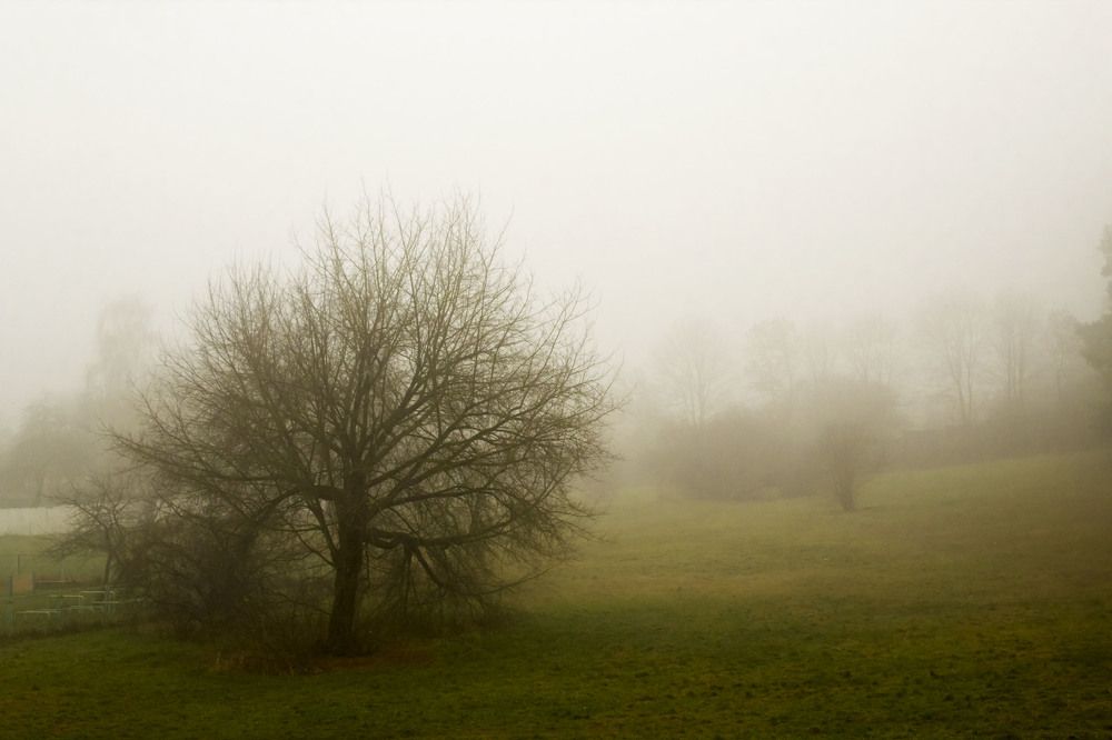Photograph by 