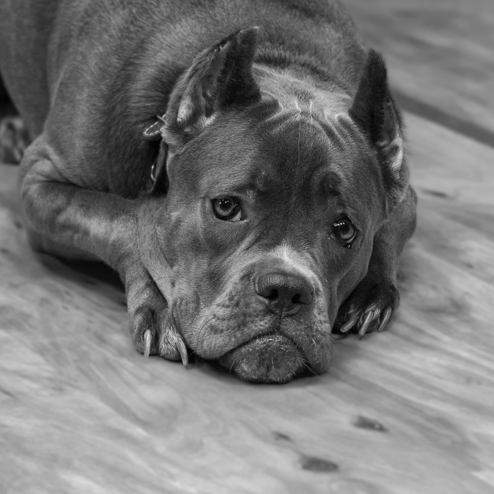 Photograph by Олег Архипов