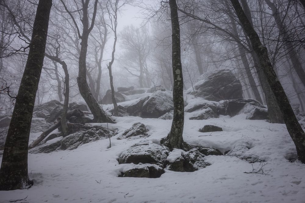 Photograph by Владимир Ганюшкин