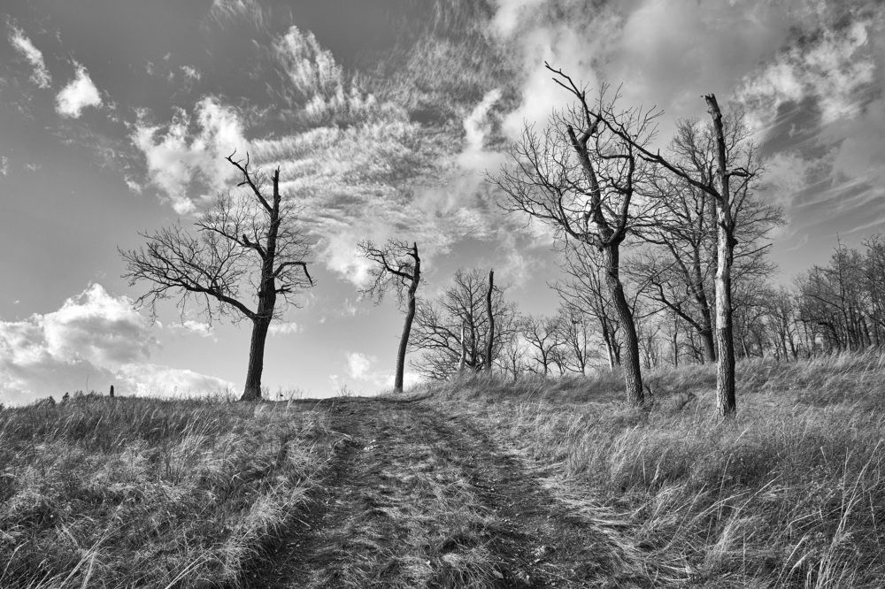 Photograph by Олег Архипов