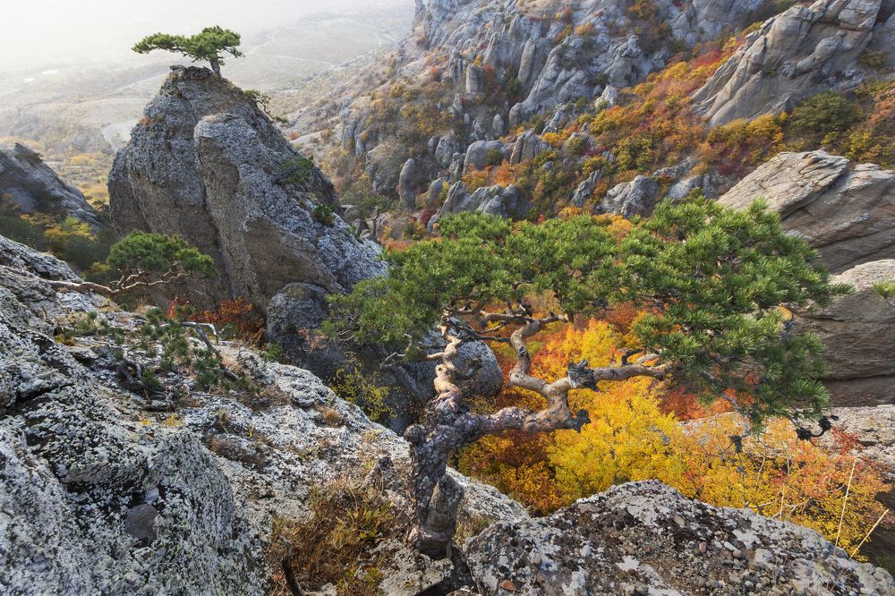 Photograph by Владимир Бочковский
