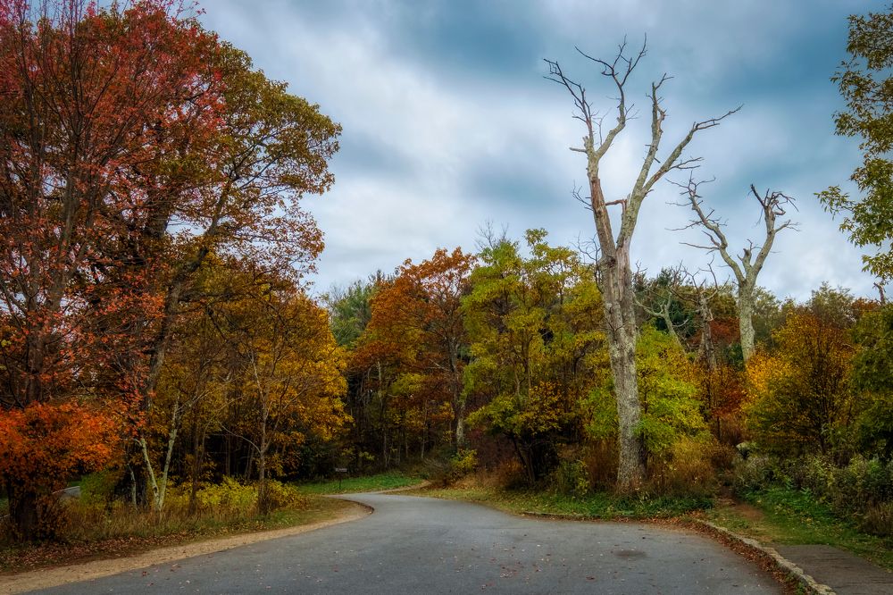 Photograph by Михаил Домешек