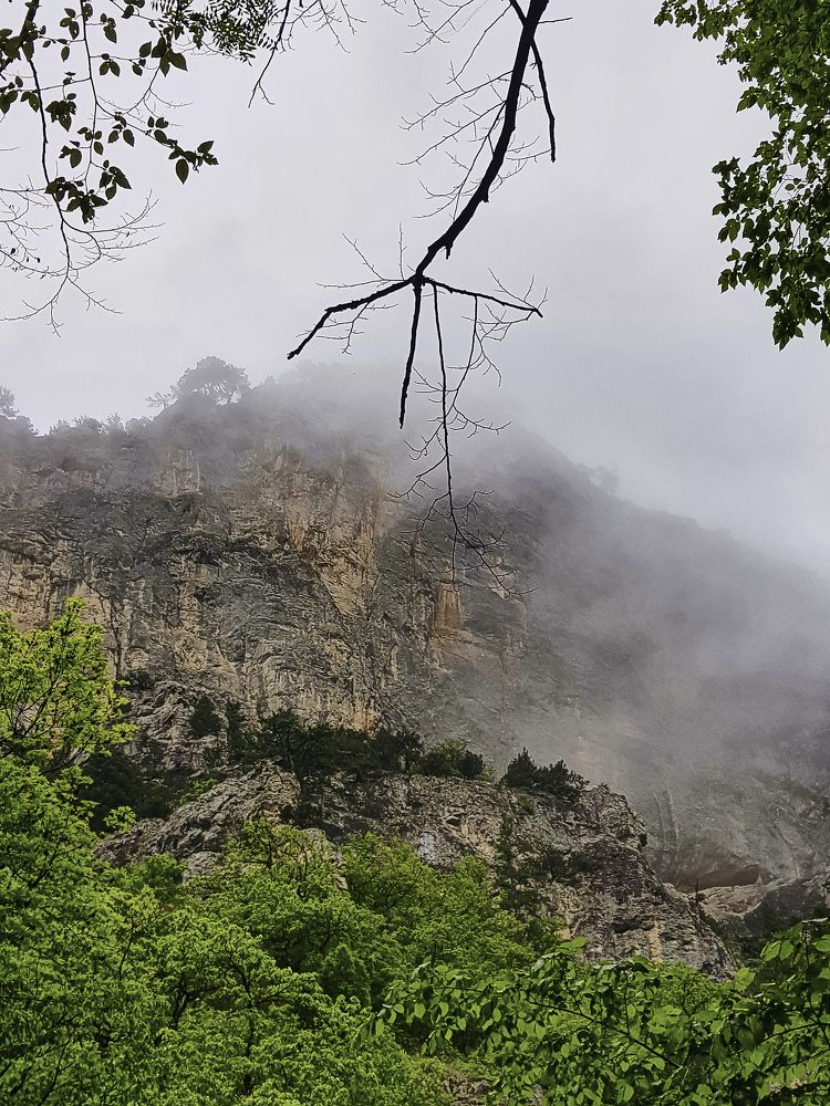 Photograph by Дмитрий