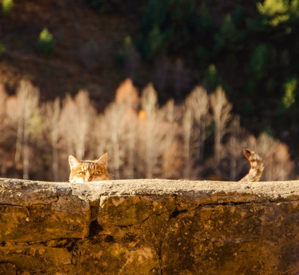 Photograph by Александра Гончаренко Александра Гончаренко