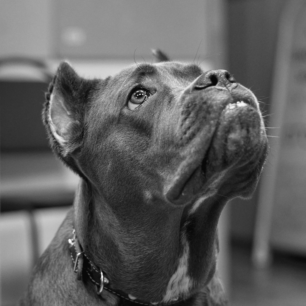 Photograph by Олег Архипов