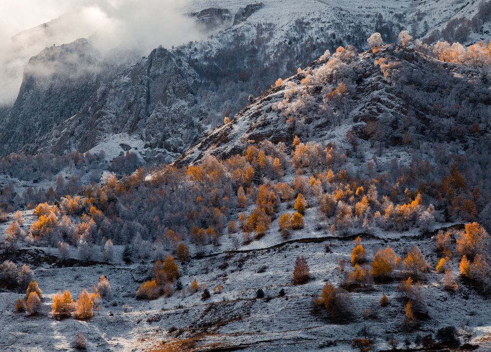 Фотография автора Филиппов Дмитрий