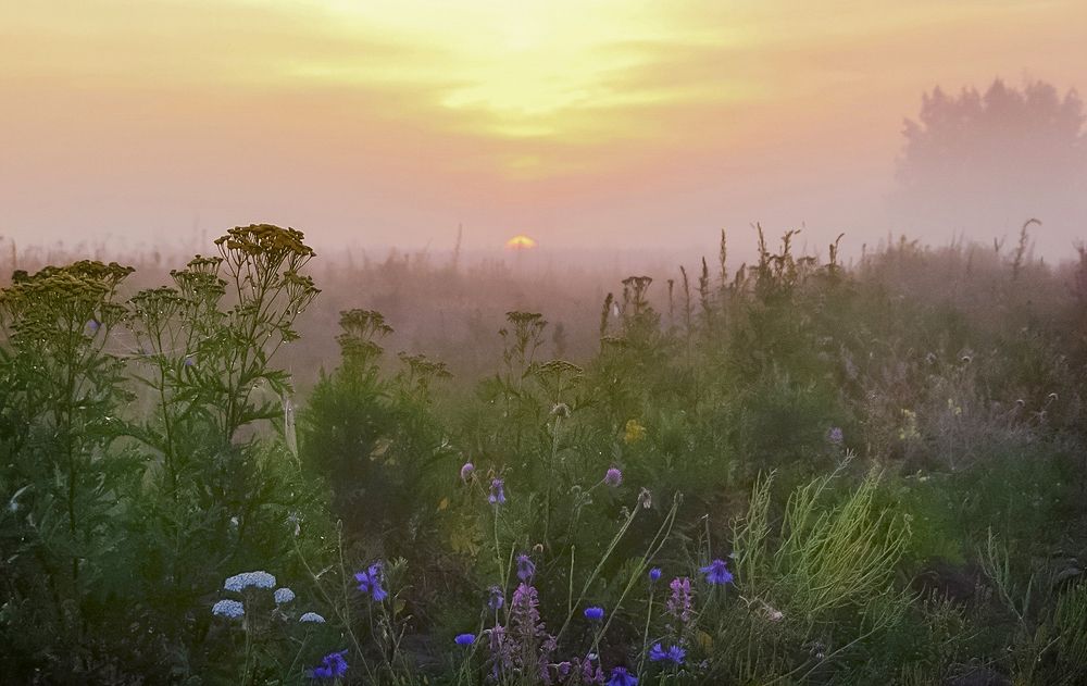 Photograph by Алексей Окунеев