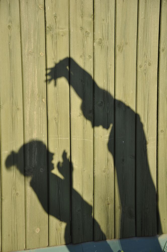 Домашний театр теней.