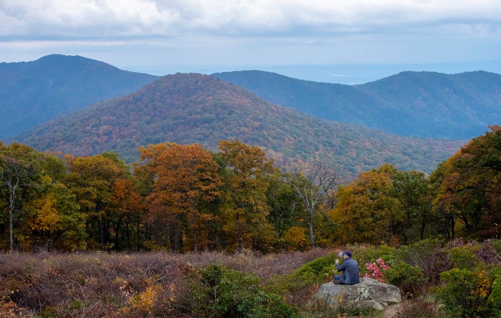 Photograph by Михаил Домешек