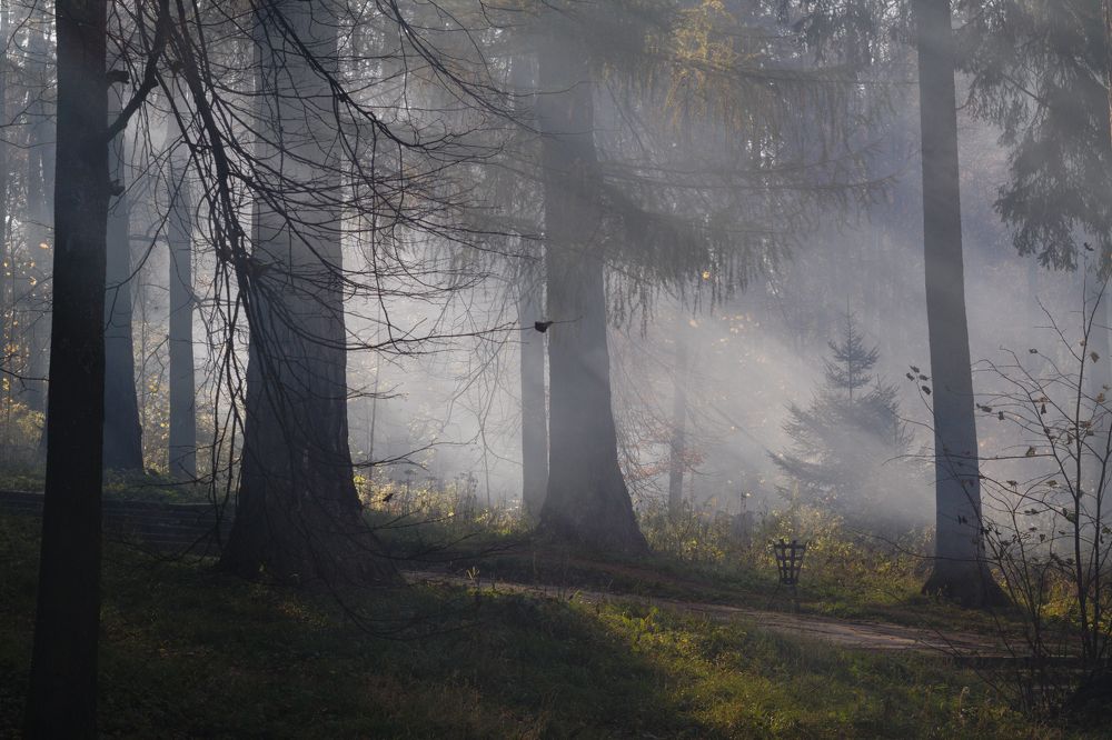 Photo #6746402