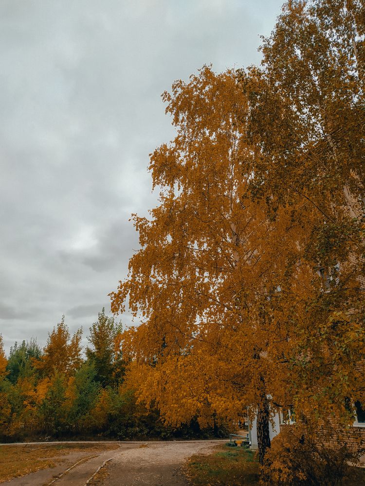 Photograph by Violetta Peskova