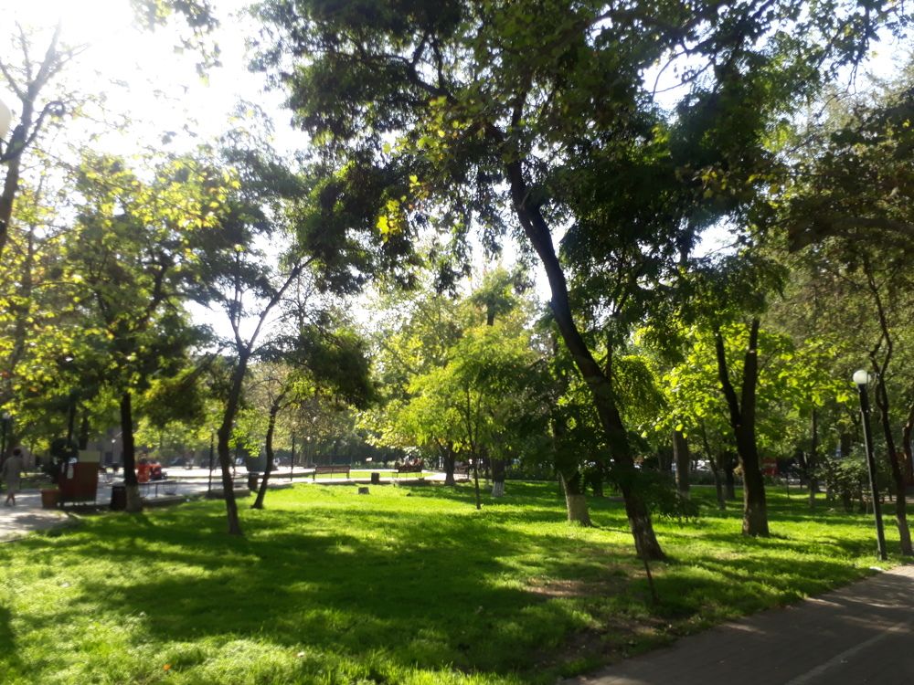 Зеленый парк Комитасса