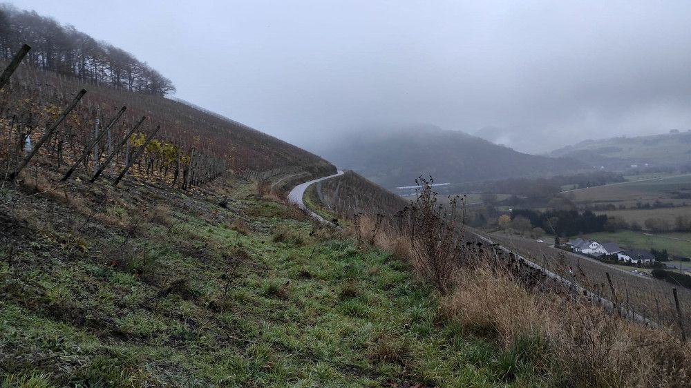 Photograph by Marina Weiland