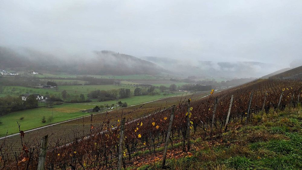 Photograph by Marina Weiland