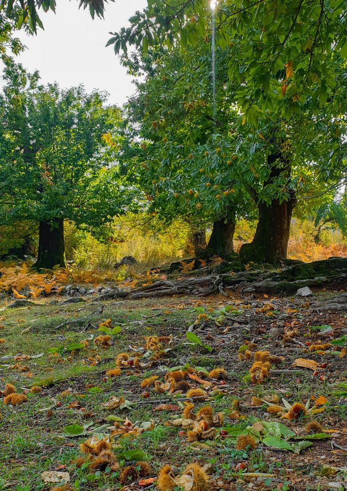 Photograph by Дмитрий Лобанов