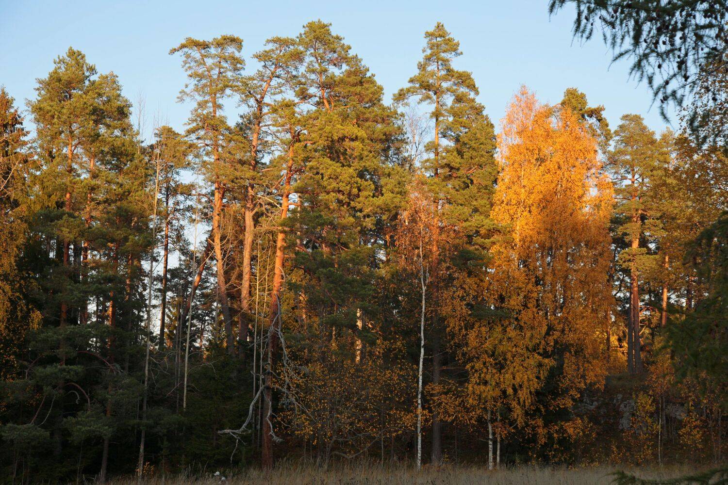 Photo #6746542
