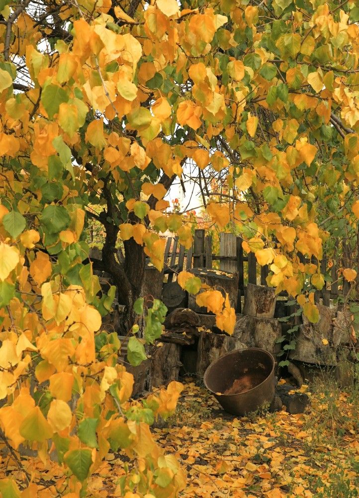 Photograph by Дарья Юсарева