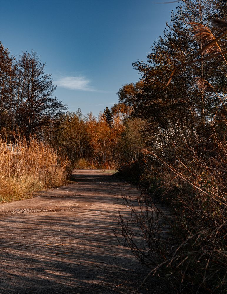 Photograph by Наталья Федотова