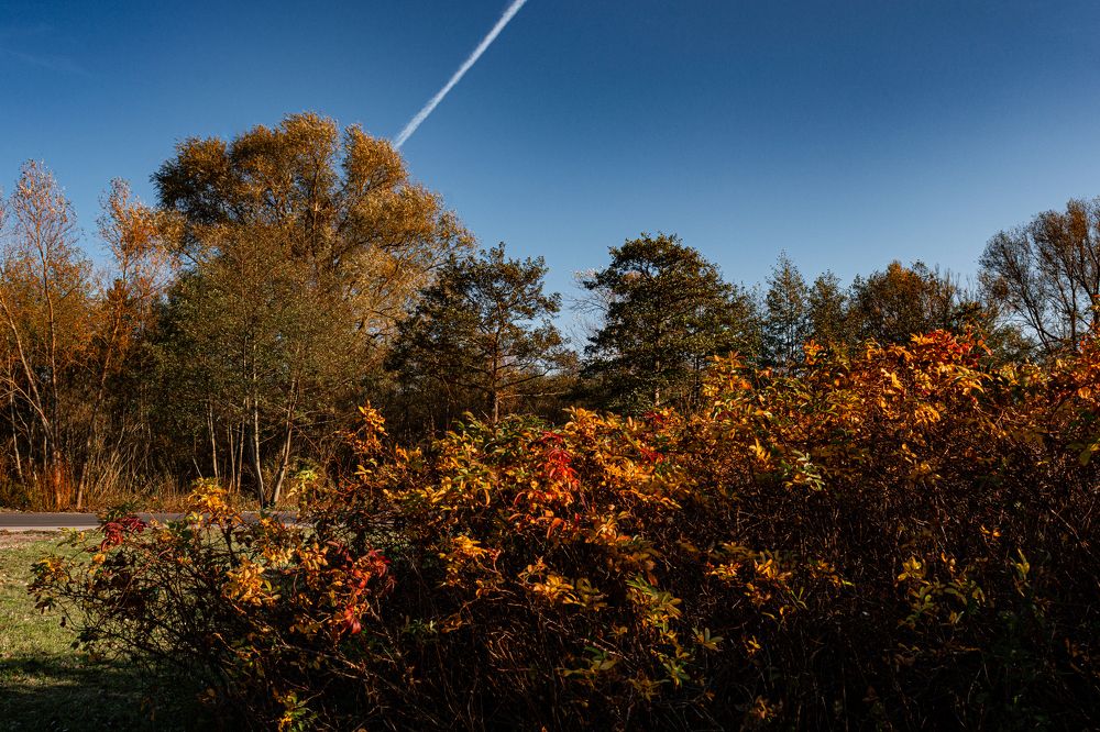 Photograph by Наталья Федотова