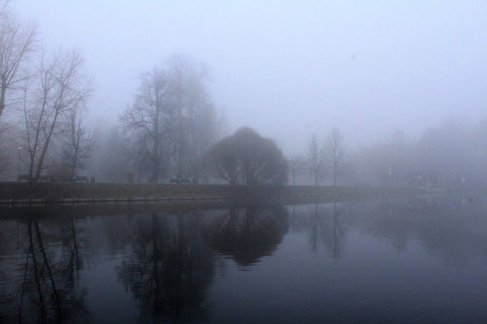 Photograph by Светлана Веселовская