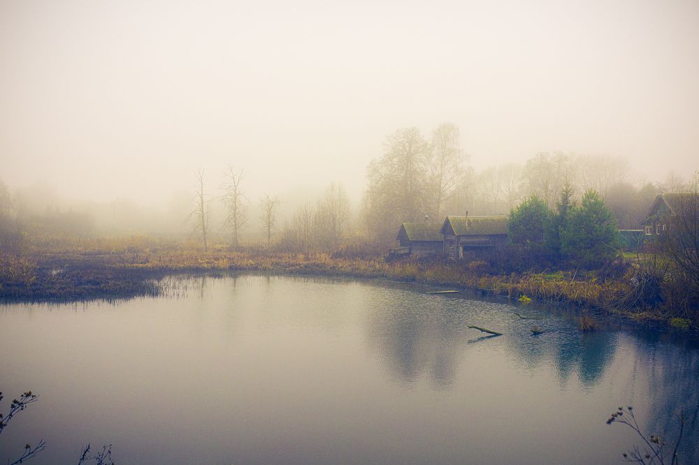 Photograph by Владимир Крышковец