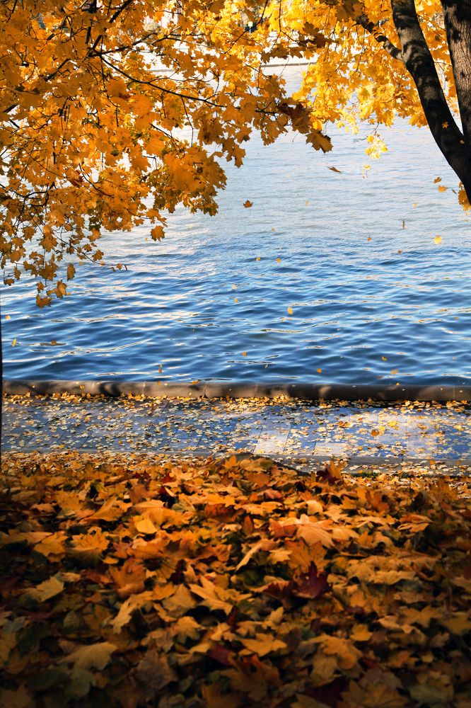 Photograph by Мария Утехина