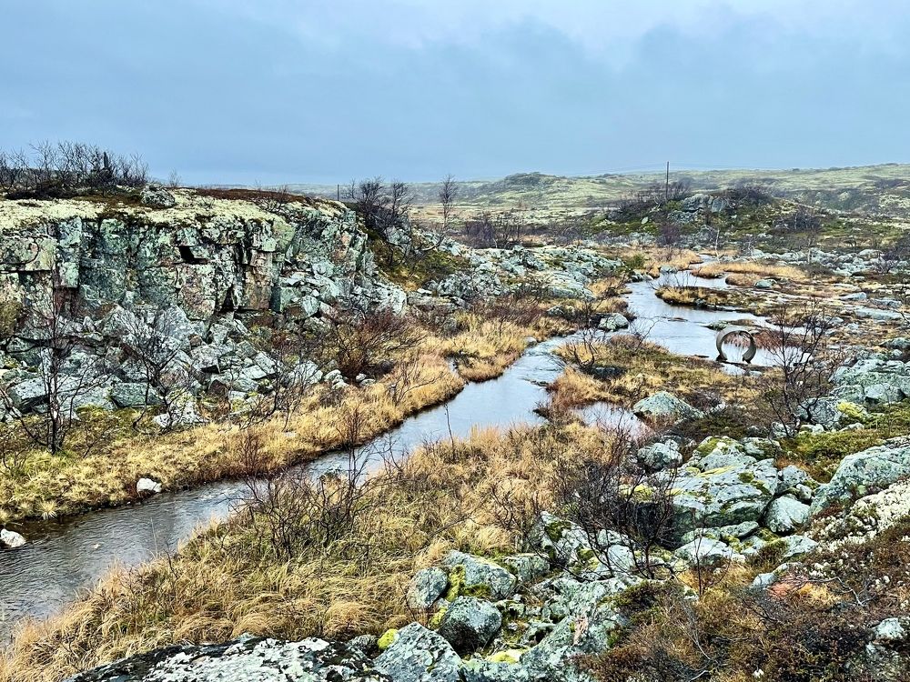 Фотография автора Юлия Шумейко