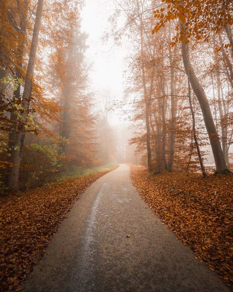 Фотография автора Kristijan Males