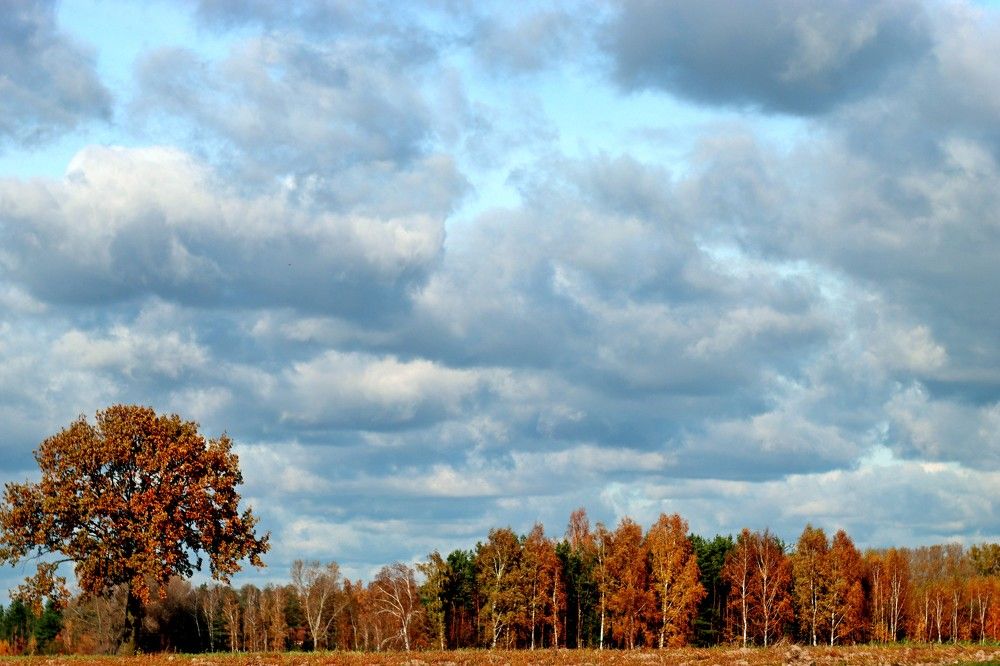 Photograph by Anna Suchcicka