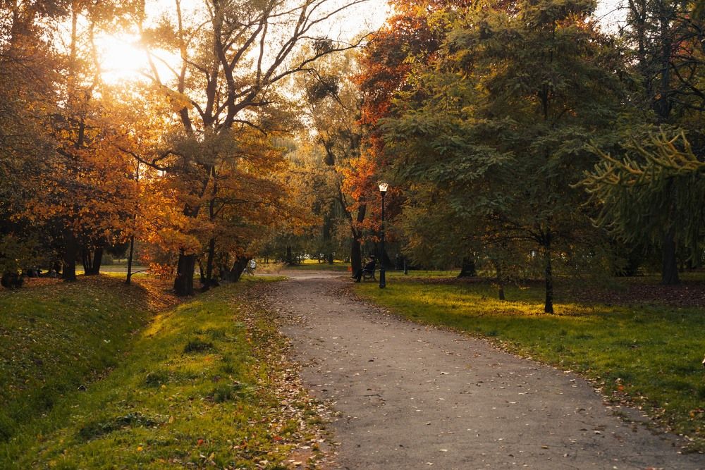 Photograph by Вікторія