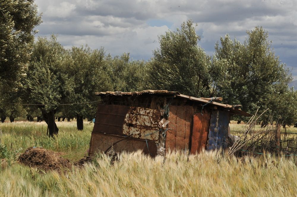 Photograph by Mohamed Kaouche