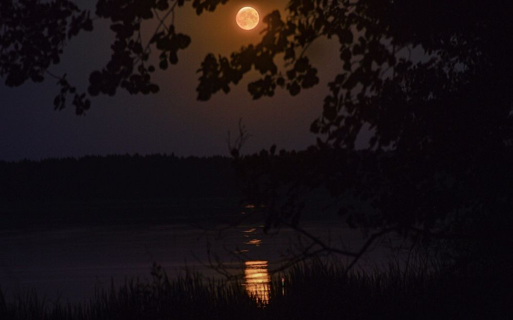 Photograph by Тема Амельянчик